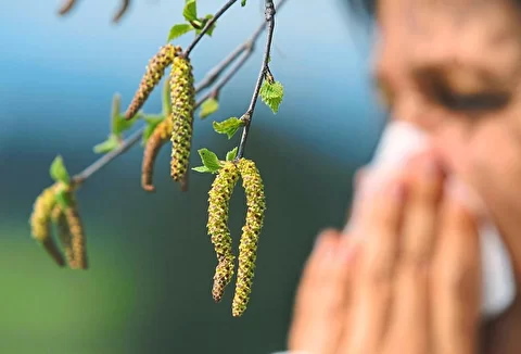 Программа «Весна без аллергии»