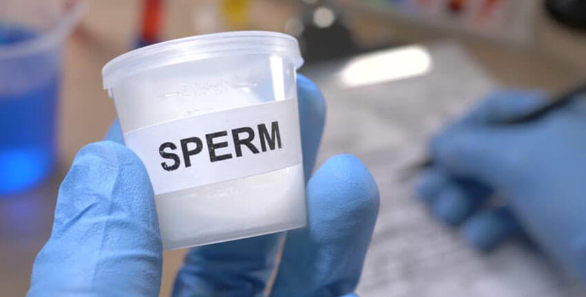 Расшифровка спермограммы - информативный метод диагностики причин мужского бесплодия