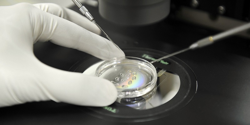 Во Франции впервые вырастили искусственную сперму человека: Наука: Наука и техника: заточка63.рф