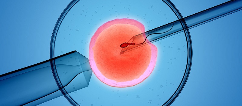 Спермацет — Википедия
